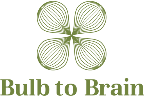 Bulb to Brain logo