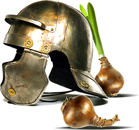 roman helmet illustration